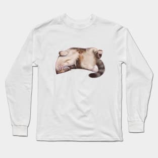 A Playful Loving Half Tabby Chonk Long Sleeve T-Shirt